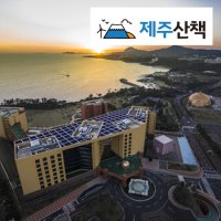 블루하와이리조트 디럭스 마운틴 더뉴 카니발 11인승2박3일패키지부모님이랑제주도 한라산사려니숲길 혼자가는여름휴가