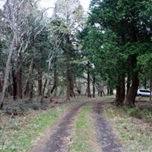 제주신화월드 메리어트 디럭스 킹 or 트윈 벤츠 E220d 4MATIC2박3일패키지청주공항진에어 함덕해수욕장위치 제주도버스임대