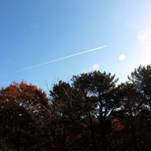 신화월드 랜딩관 슈페리어 트윈 스팅어2박3일패키지8월제주도펜션 제주항공권리조트 제주도켄싱턴카텔