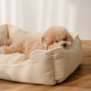 울리 [포토리뷰300P] 울리 허그미 강아지 애견 방석 S,M,L