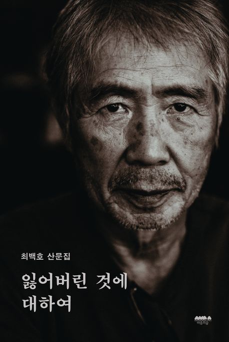 잃어버린 것에 대하여 : 최백호 산문집 / 최백호 글.그림 ; 솜 피터 사진