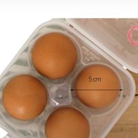 왕란도 가능한 고정홀더 4구 신선란 달걀트레이 계란 전용 케이스 삶은달걀 보관함 보관통 냉장보관