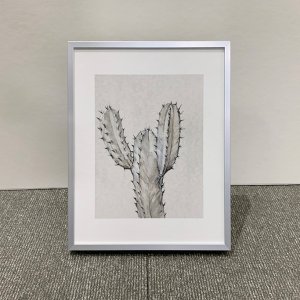 [Refurbish] Cactus Study II [20.3x25.4cm]