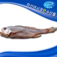 반건조 제수용 침조기 제사용 침조기 긴가이석태 황민어 침굴비 반건조 마산어시장