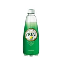 롯데칠성음료 TREVI 레몬 300ml