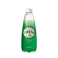 롯데칠성음료 TREVI 라임 300ml