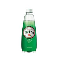 롯데칠성음료 TREVI 자몽 300ml