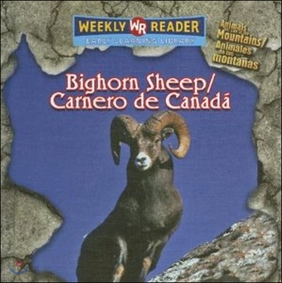 Bighorn sheep/Carnero de Cannada