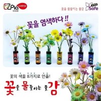 꽃물감50ml 놀작몰 눈높이아티맘 쏘잉스쿨 멀티펀펀룸