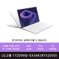 LG그램 17ZD90Q-EX56K i5/16GB/256GB/RTX2050