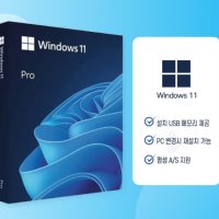정품 MS 윈도우 11 프로 한글 FPP 처음사용자용 설치USB 병행 PC