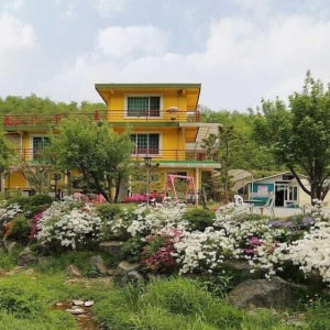 [춘천] 허브스토리펜션