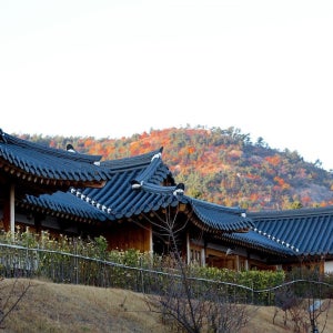 [여수] 한옥호텔 오동재