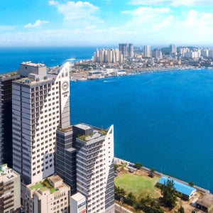 [속초] 씨 크루즈 호텔