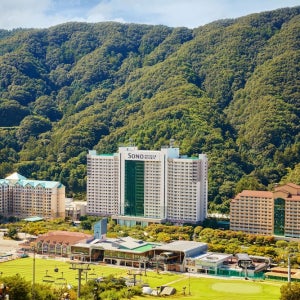 [홍천군] 비발디파크 4성급