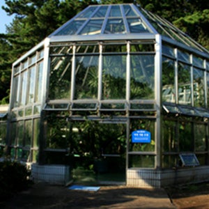 씨에스호텔 초당 올뉴 카니발 9인승2박3일패키지 제주도가족여행 제주도주말항공