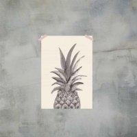 일러스트포스터 Ink Pineapple A4사이즈