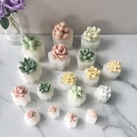 수제 다육 캔들 실리콘 몰드 DIY 아로마 테라피 3D