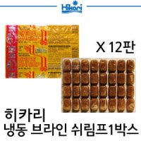 히카리 냉동 브라인 쉬림프 1박스 12판 담수 해수어