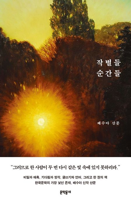 작별들 순간들 (배수아 산문) 표지