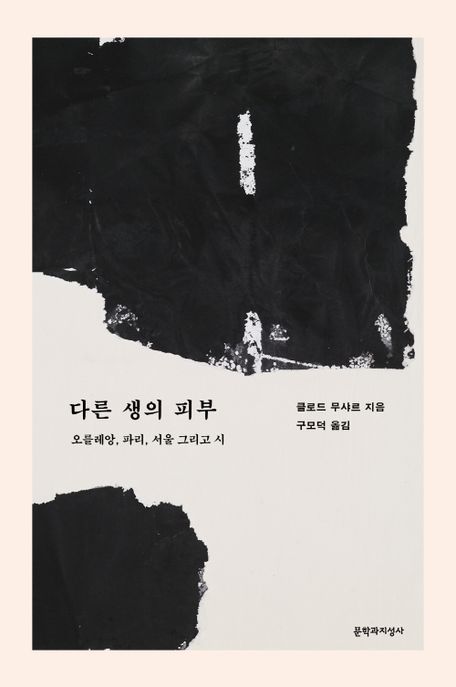 다른 생의 피부  : 오를레앙, 파리, 서울 그리고 시