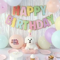 핑크캔디 강아지 고양이 (고깔모자)생일파티세트