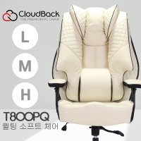 클라우드백 컴퓨터 사무용 사무실 중역 PC방 편한 공부 책상 메쉬 학생 의자 T800PQ