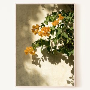 로얄블루아트샵 따듯한 햇살의 오후 꽃 그림자 포스터 사진