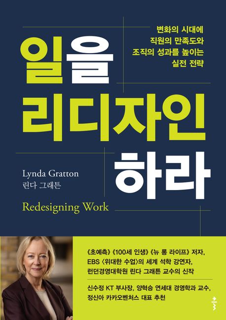 일을 리디자인하라 : 변화의 시대에 직원의 만족도와 조직의 성과를 높이는 실전 전략 표지이미지