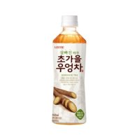 롯데칠성음료 초가을우엉차 500mlx24개1box