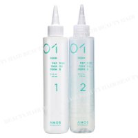 아모스프로페셔널 피엔피 치오펌 100ml+100ml 아모스펌제 150ml 업그레이드