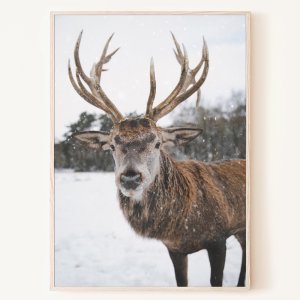 안녕 루돌프 설원의 사슴 겨울 풍경 크리스마스 사진 인테리어 액자