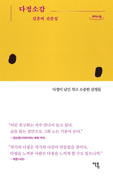 다정소감(큰글자도서) (김혼비 산문집)
