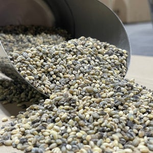 2024년 햇 잡곡 선물세트 5kg