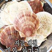 가리비 참가리비 1kg 동해안 고성 국산 수입 대왕 산지직송