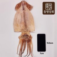 [동명상회] 구룡포 해풍건조 대왕 마른오징어 5마리 (825g내외)