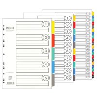 알파 인덱스간지 PVC 10분류 A4 I-610