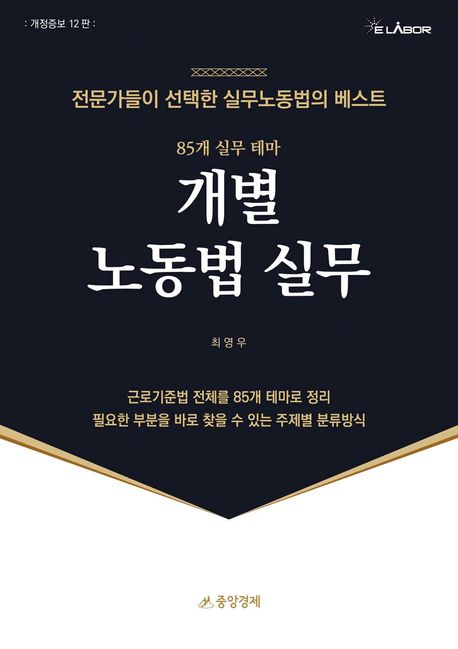 개별 노동법 실무 (근로기준법 전체를 85개 테마로 정리)