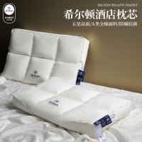 HILTON FIVE -STAR HOTEL CERVICAL SPINE SPINE -SPECIFIC PILLOW CORE 1 쌍의 2 가정 자궁 경부 척추 도움말 수면 베개