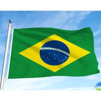 브라질 국기 옥외 게양 대형 깃발-국기 5호