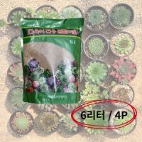 다육이전용 다육이흙 분갈이흙 펄라이트 마사 석회질 6L 4P