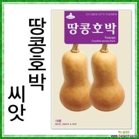 CN 땅콩호박10립 씨앗