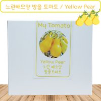 노란배모양 방울 토마토 Yellow Pear Tomato 가보토마토 씨앗