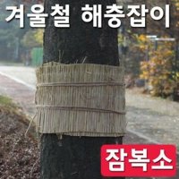 잠복소  겨울철 해충잡이 수목월동자재 월동 바람막이 가마니 이엉 섬피