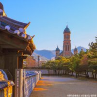 [서해 금빛 열차] 군산 & 전주 한옥 마을 당일치기 코레일 기차 여행