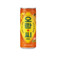 동아오츠카 오란씨 오렌지 250ml