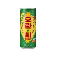 동아오츠카 오란씨 파인애플 250ml