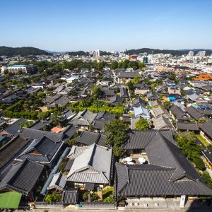 서해금빛열차 타고 떠나는 전주 한옥마을과 군산 당일 기차여행 패키지