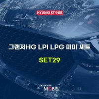 그랜저HG LPI LPG 미미 세트