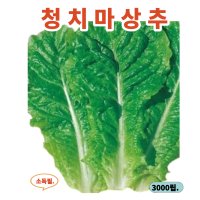 청치마상추3000립2봉 모듬상추 쌈용 봄 가을재배형 잎이많고 광택유